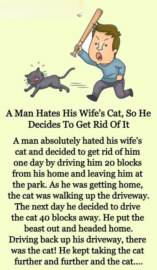 Man Hates Cat